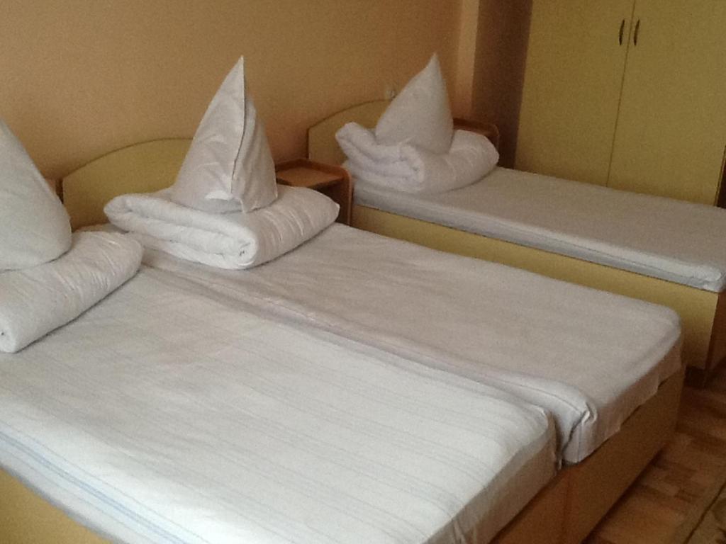Hotel Continental City Center Yaş Oda fotoğraf